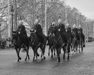 Horse Guard
