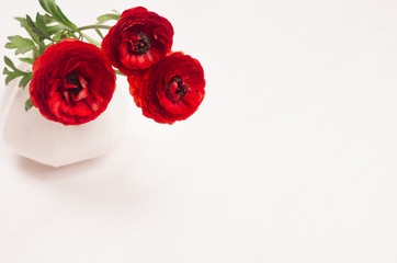 Red flowers in ceramics vase on white wood board. Spring floral background with copy space.