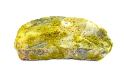 Moldy bread, isolated on white background
