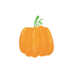 Cartoon icon of big bright orange pumpkin. Ripe herbaceous plant. Organic food. Agronomic product. Flat vector element for infographic of farming cultivation