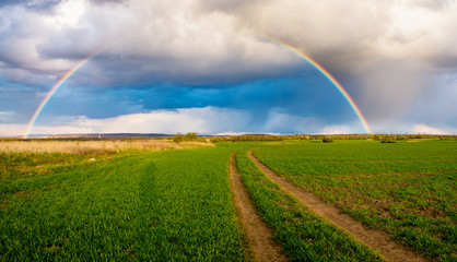 Rainbow over the spring field after the evening storm