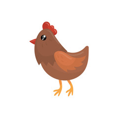 Brown chicken with red beak, scallop and orange feet. Cartoon bird character. Domestic fowl. Farm animal. Concept of poultry farming. Colorful flat vector design