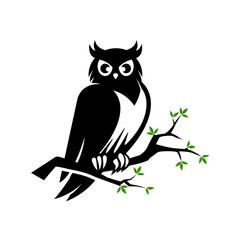 Fototapeta premium Owl Logo Stock Images