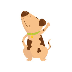 Funny little dog with brown spots on body. Cartoon puppy character with green collar. Human s best friend. Adorable domestic animal. Colorful flat vector design