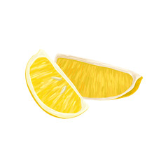 Composition with two little slices of lemon. Juice citrus fruit. Food icon. Graphic element for advertising flyer or tea products packaging. Detailed vector illustration