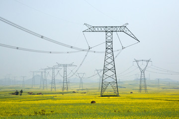 High voltage pole in the midst of nature.