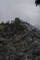 skała Pieniny  © wedrownik52