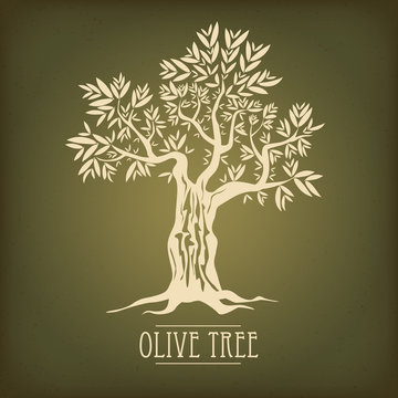 Olive tree on vintage paper. Olive oil. Vector olive tree. For labels, pack.