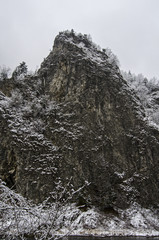 skała Pieniny  © wedrownik52