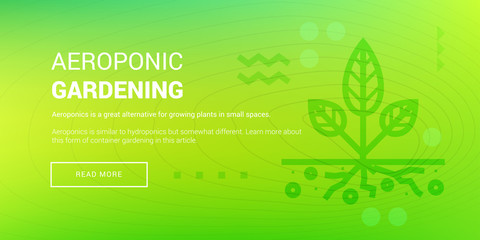 Hi-tech Aeroponic Gardening