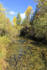 Fall colors in Serrania de Cuenca mountain in Spain