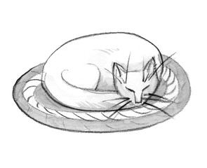 Cat curled up, abstract ink watercolor illustration on white background.