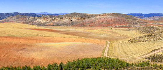 Colored  landscape in Serrania de Cuenca mountain in Spain