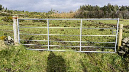Fototapeta premium Vintage metal gate on a green field in Ireland