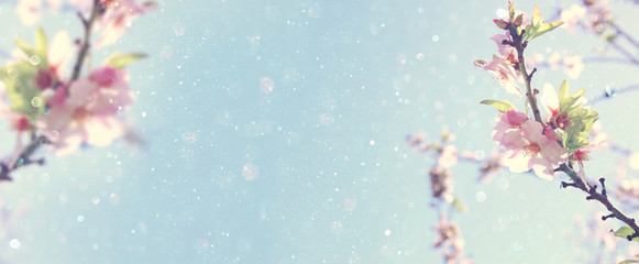 Website-Banner-Hintergrund des weißen Kirschblütenbaums des Frühlings. selektiver Fokus.