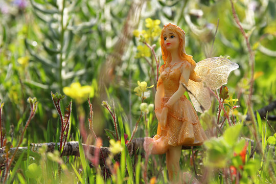 image of magical little fairy in the forest.