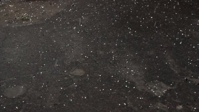 deg strewed on the ground