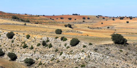 Fototapeta premium Colored landscape in Serrania de Cuenca mountain in Spain