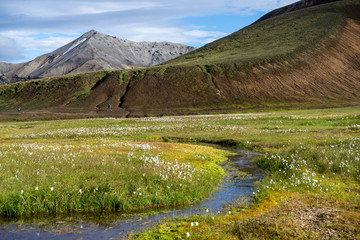 Fototapeta na wymiar Volcanic mountains of Landmannalaugar in Fjallabak Nature Reserve. Iceland