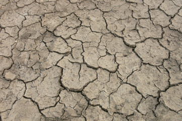 Dry cracks in dried out soil