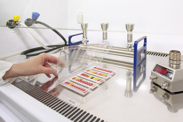 Fototapeta na wymiar Laborantine réalisation un test de micro biologie dans un laboratoire de recherche. Science et technologie.