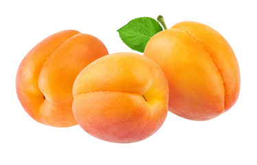 Fresh apricot isolated on white background with clipping path