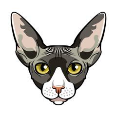 Sphynx, Cat face cartoon. .