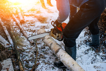 Process of sawing log by chainsaw in the winter