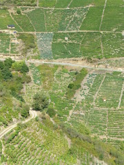 Ribeira Sacra, zona que comprende las riberas de los ríos Cabe, Sil y Miño, en la zona sur de la...