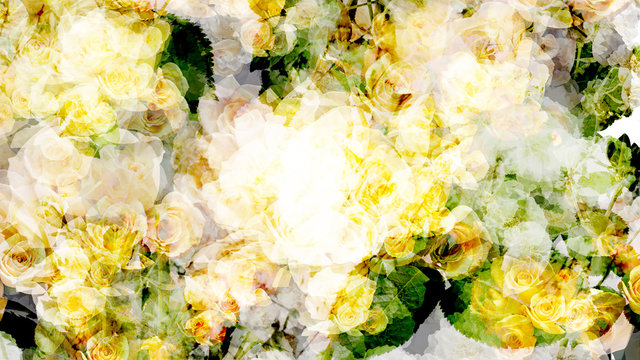 Flower_BG-1