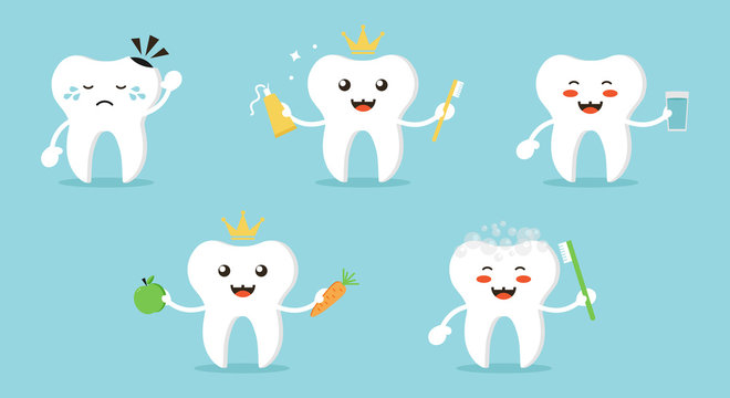 Set, collection of cartoon teeth characters, nice and smiling, doing different activities to keep themselves healthy and clean. Cute dental care vector illustrations.