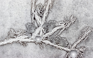 Ornaments on a frozen window like human