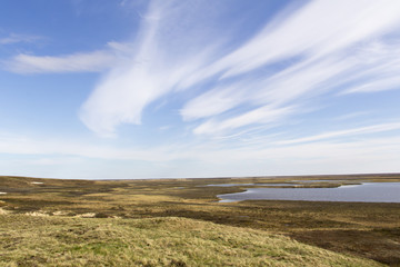 Spring landscape in the tundra on the Yamal Peninsula