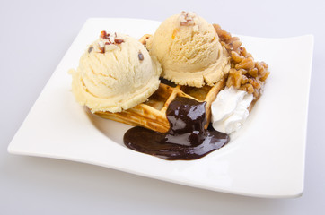 ice cream scoop with waffle