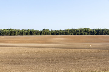 Große Ackerfläche in Lettland