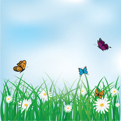Butterfly flying above the grass with flowers, Spring, Summer background