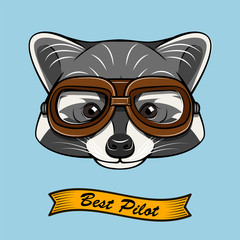 Raccoon Aviator. Raccon wearing in aviator's glasses. Riibbon. Best pilot lettering. Illustration.