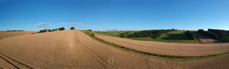 Fototapeta na wymiar Panorama of an autumn field with ripe wheat
