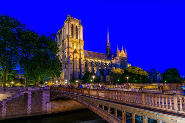 Night view of Cathedral Notre Dame de Paris and Pont au Double in Paris, France