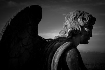 Fototapeta na wymiar angel - black and white image