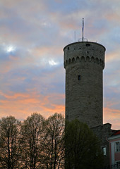 Pikk Hermann in Tallinn. Estonia