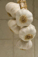 Garlic bulbs hanging in front of a tiled kitchen backdrop