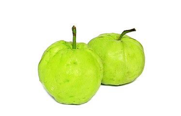 guava isolated on white background.Green fruit isolated on white background.