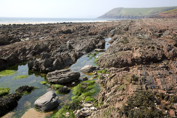 UK, Wales, Pembrokeshire, Manorbier, rockpools on the beach