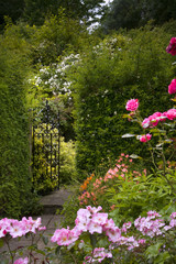 An open garden gate through a hedge in a colouful summer garden