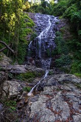 Wasserfall Dorrigo, New South Wales in Australien