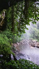Fototapeta premium Crystal Shower Falls, Wasserfall in Dorrigo, New South Wales, Australien