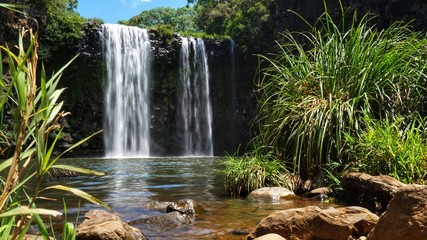Dangar Falls, Wasserfall in Dorrigo, New South Wales in Australien - obrazy, fototapety, plakaty