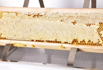 Honigwabe auf Entdeckelungsgeschirr auf weiss