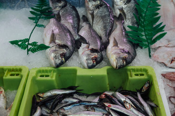 Fish tray in a fish market